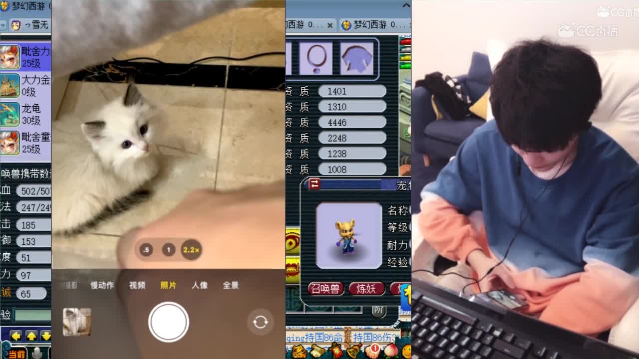 快乐雪无在线吸猫