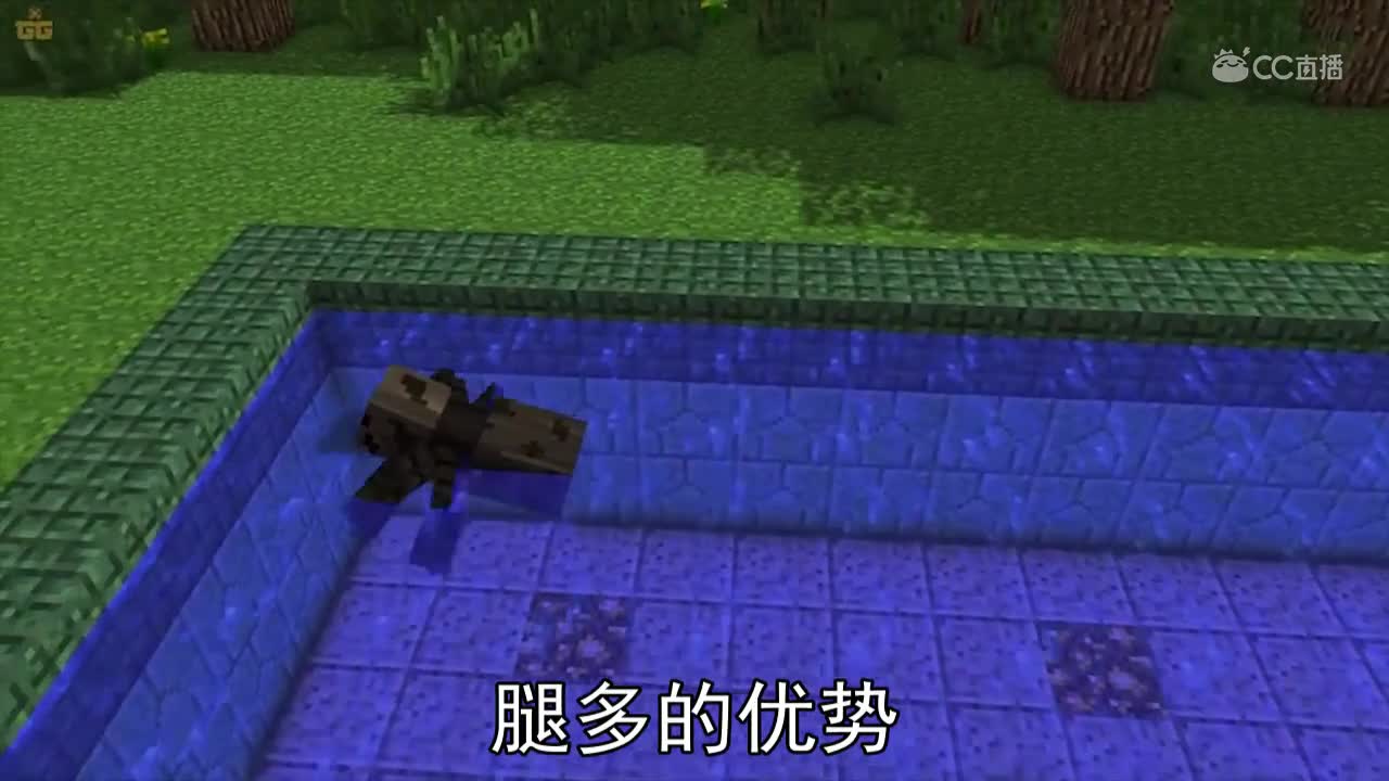 怪物学院的故事，游泳大比拼！