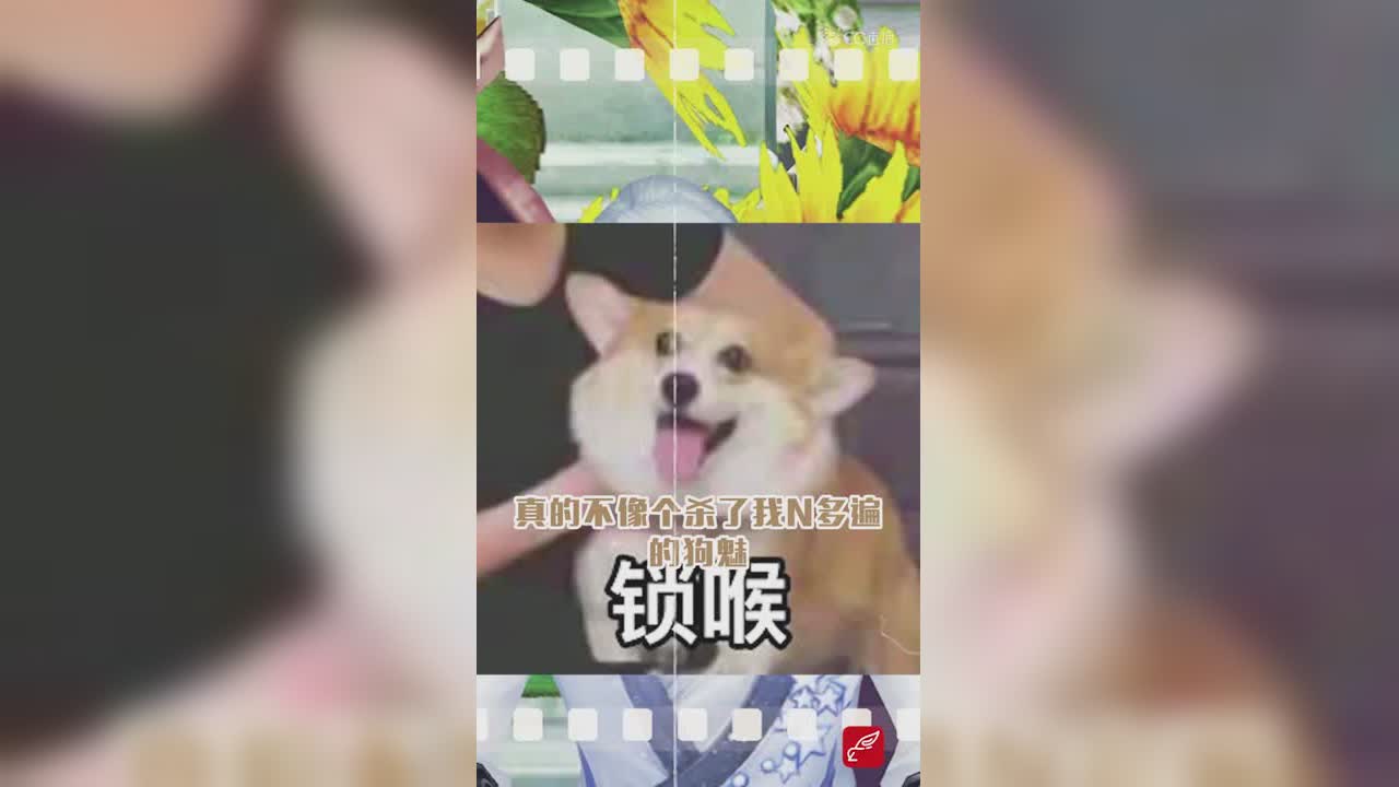 我喜欢上了那个天天蹲我的紫毛魅 16期