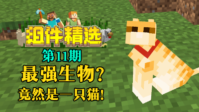 《我的世界组件精选》P11：最强生物竟然是一只猫？