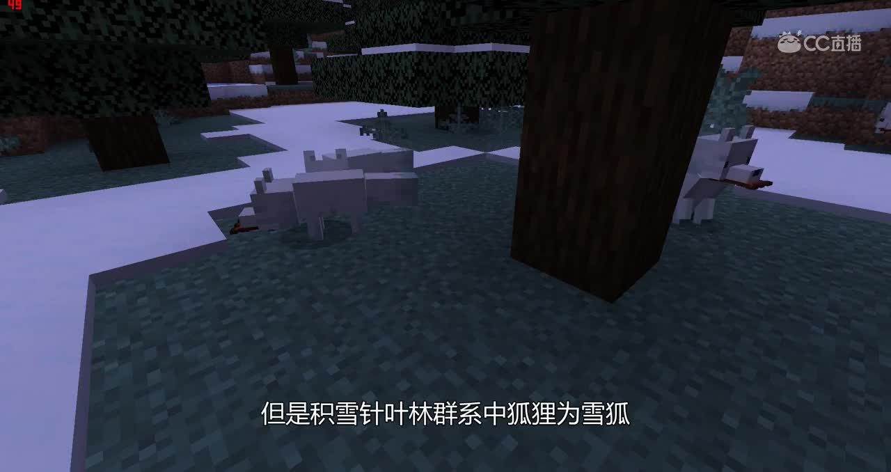 中国版1.16新生物：狐狸介绍#我的世界# #原创作者联盟# @网易游戏原创作者联盟