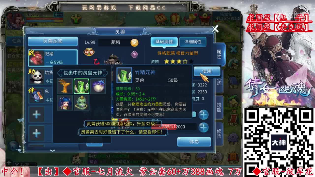 【老四】开小雷神-聪慧