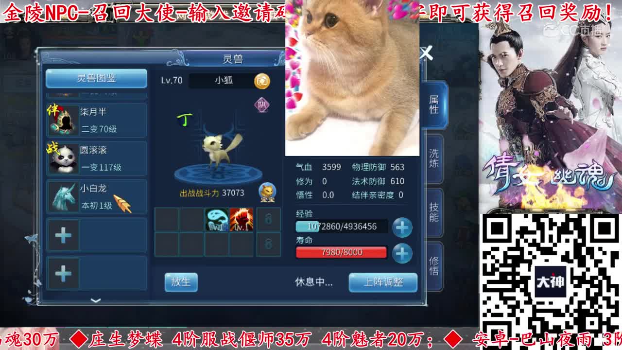 【老四】连开2只忠心-忠心小白龙 忠心鲛人