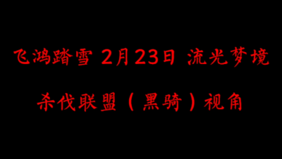 飞鸿踏雪2月23日 流光梦境