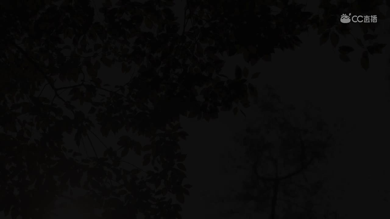 被鸡驴大神眷顾的秘诀，我只教一遍！