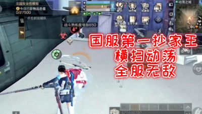 国服第一抄家王横扫动荡全服无敌!明日之后 静观思禅