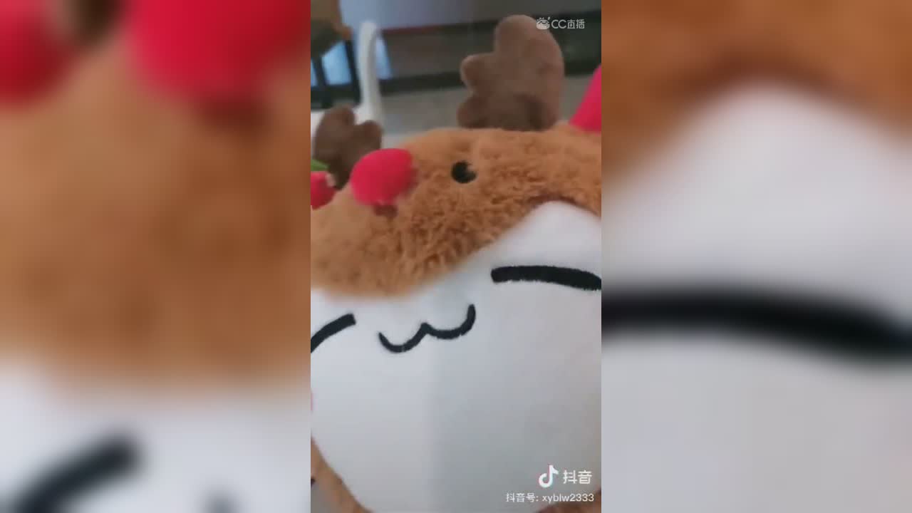 挑战一百天不可爱!!