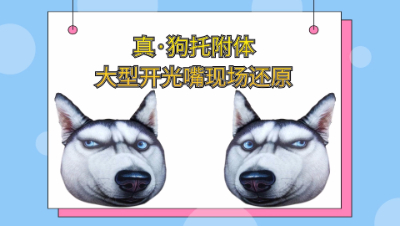 梦幻西游：门贡兑换超级狗托附体，大型开光嘴还原现场