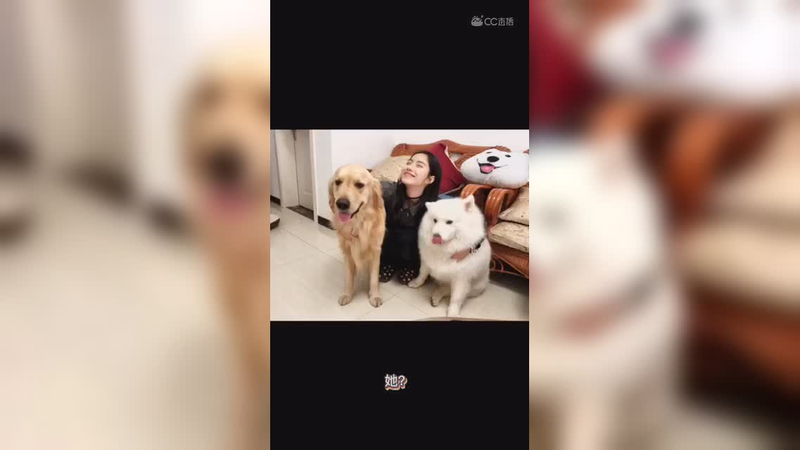 96723763 夏紫翊