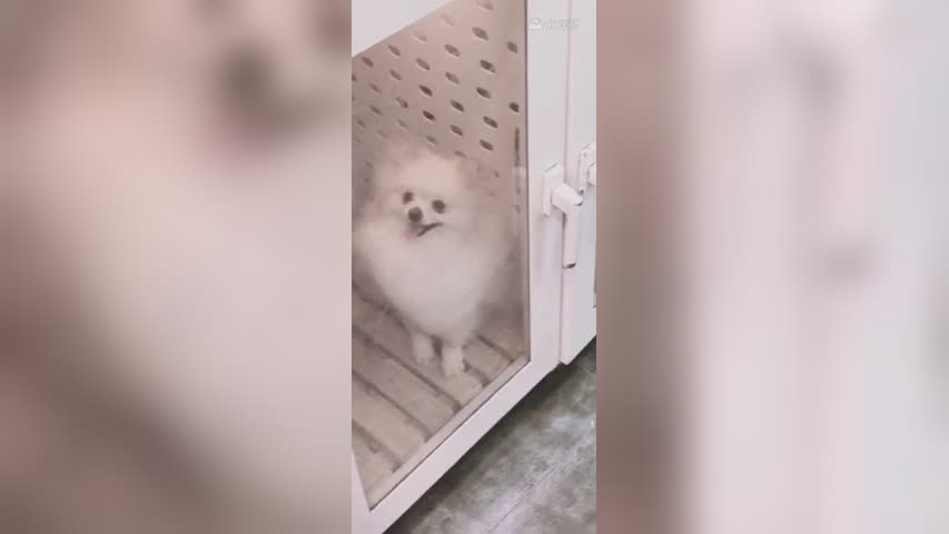 球宝洗完澡颜值ok的