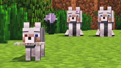 Wolf Life 3 - Minecraft Animation