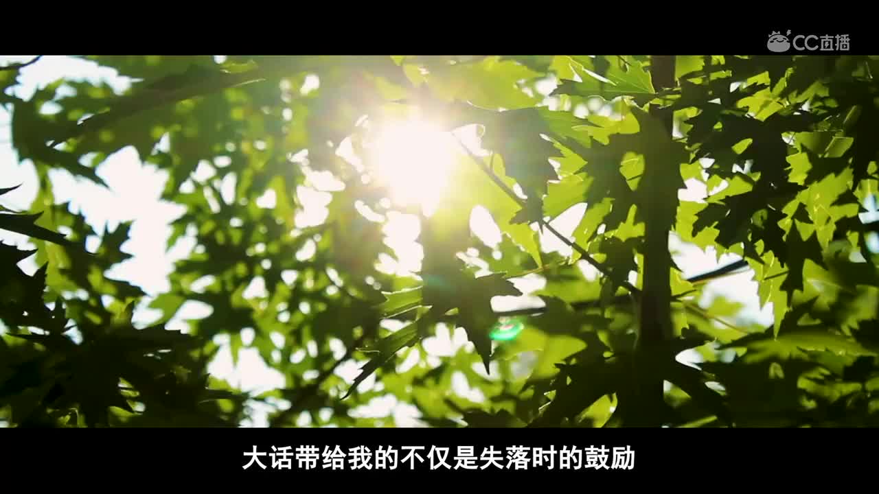 青春有你不离不弃