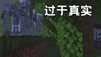 我的世界中过于真实的几个瞬间（二十）