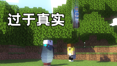 我的世界中过于真实的几个瞬间（二十一）