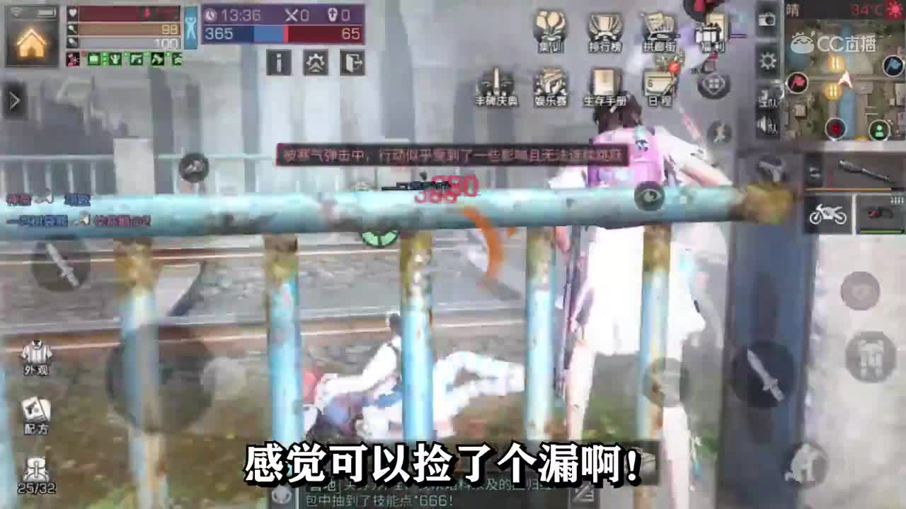 沙雕啾的日常