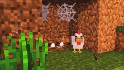Chicken Life - Minecraft Animation