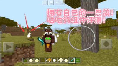 拥有自己的一只鸽!咕咕鸽组件评测!我的世界 静观思禅