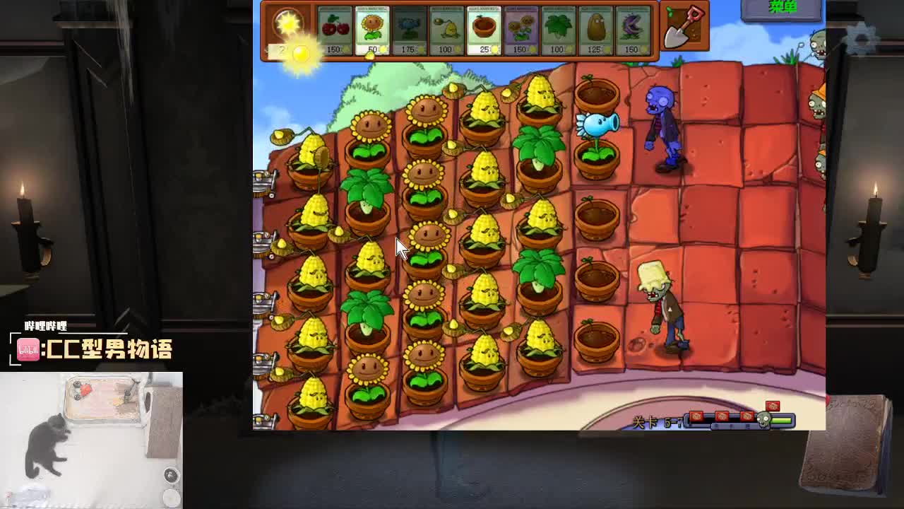 划船不用桨 物语全靠浪 第2段