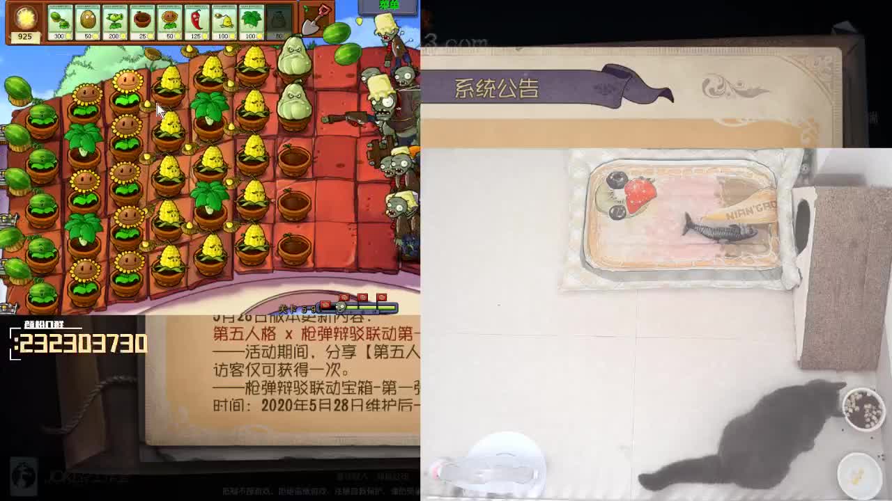 是时候证明是欧皇的时候了~！