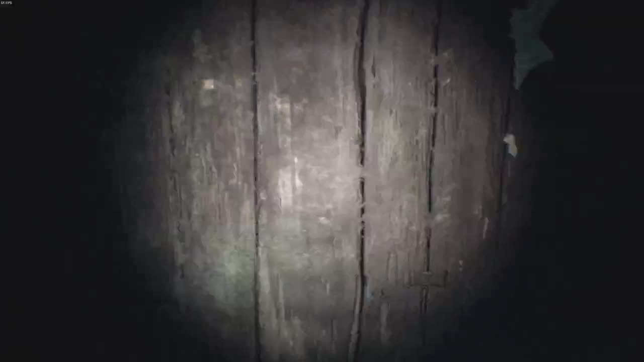 洋洋洋：六月快乐，宝贝们