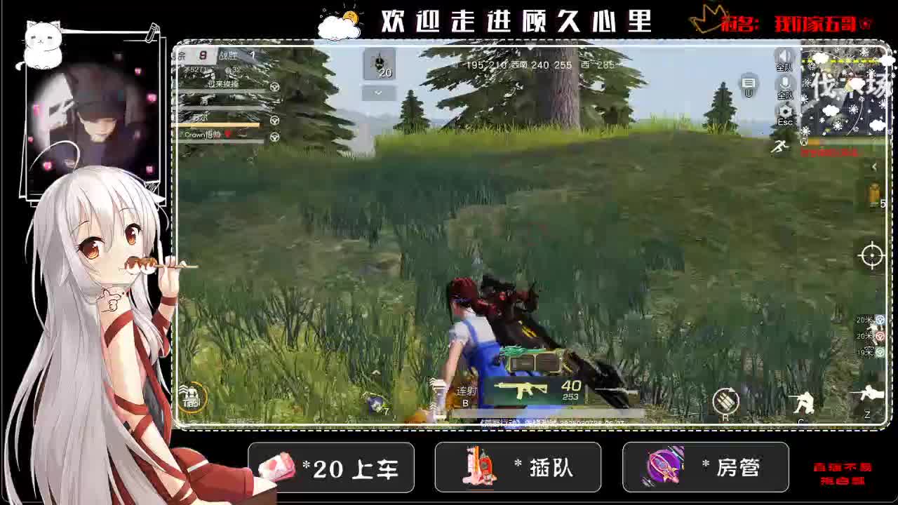 又是头昏眼光的一天