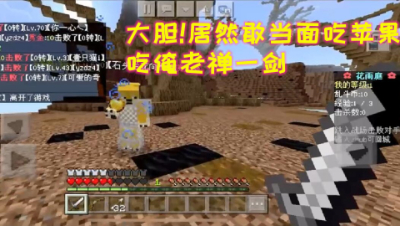 大胆!居然敢当面吃苹果花雨庭疯狂大乱斗!我的世界 静观思禅