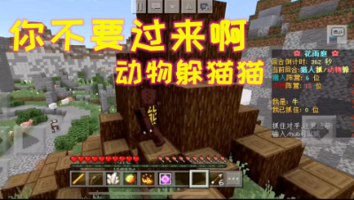 千万别过来!动物躲猫猫!我的世界 静观思禅