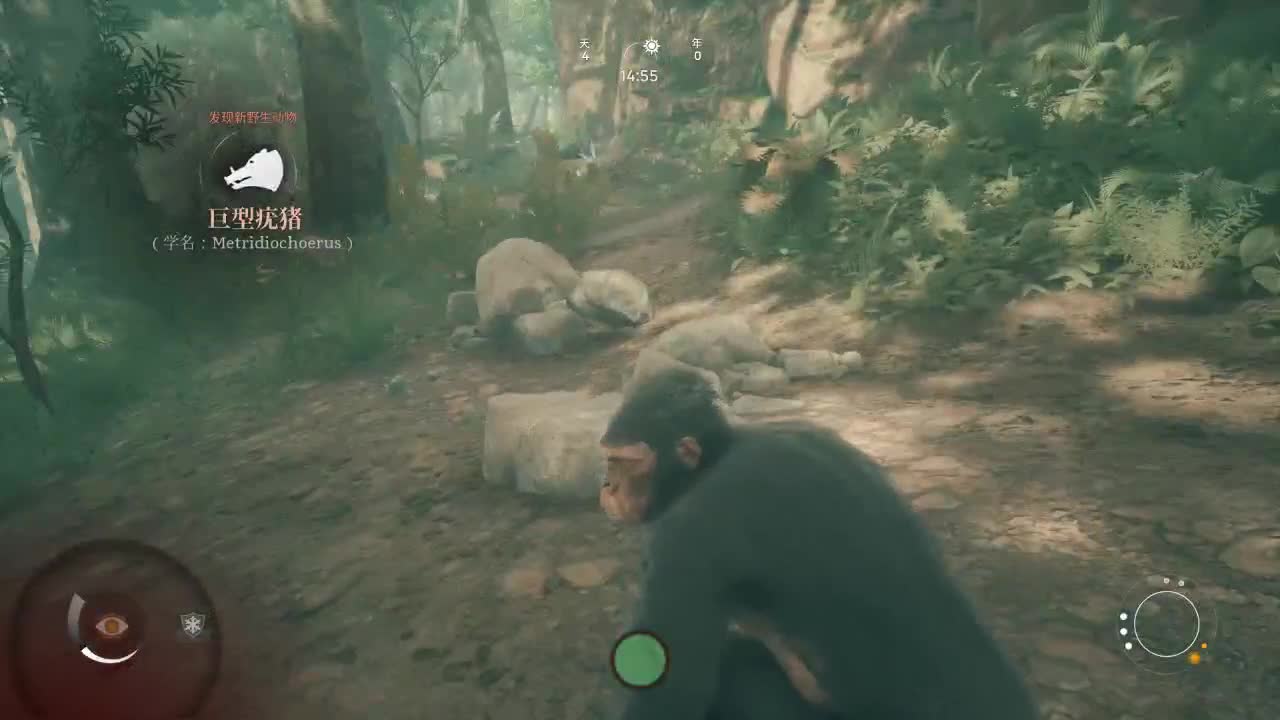 洋洋洋：人类奥德赛：在造喉的路上越陷越深