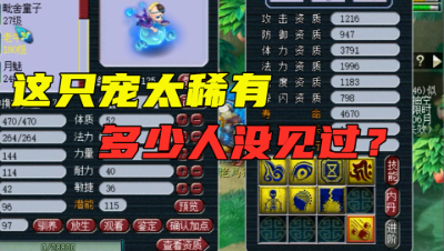 梦幻西游：这宝宝太少见了，老王竟说是第一次见，最后打书太尴尬