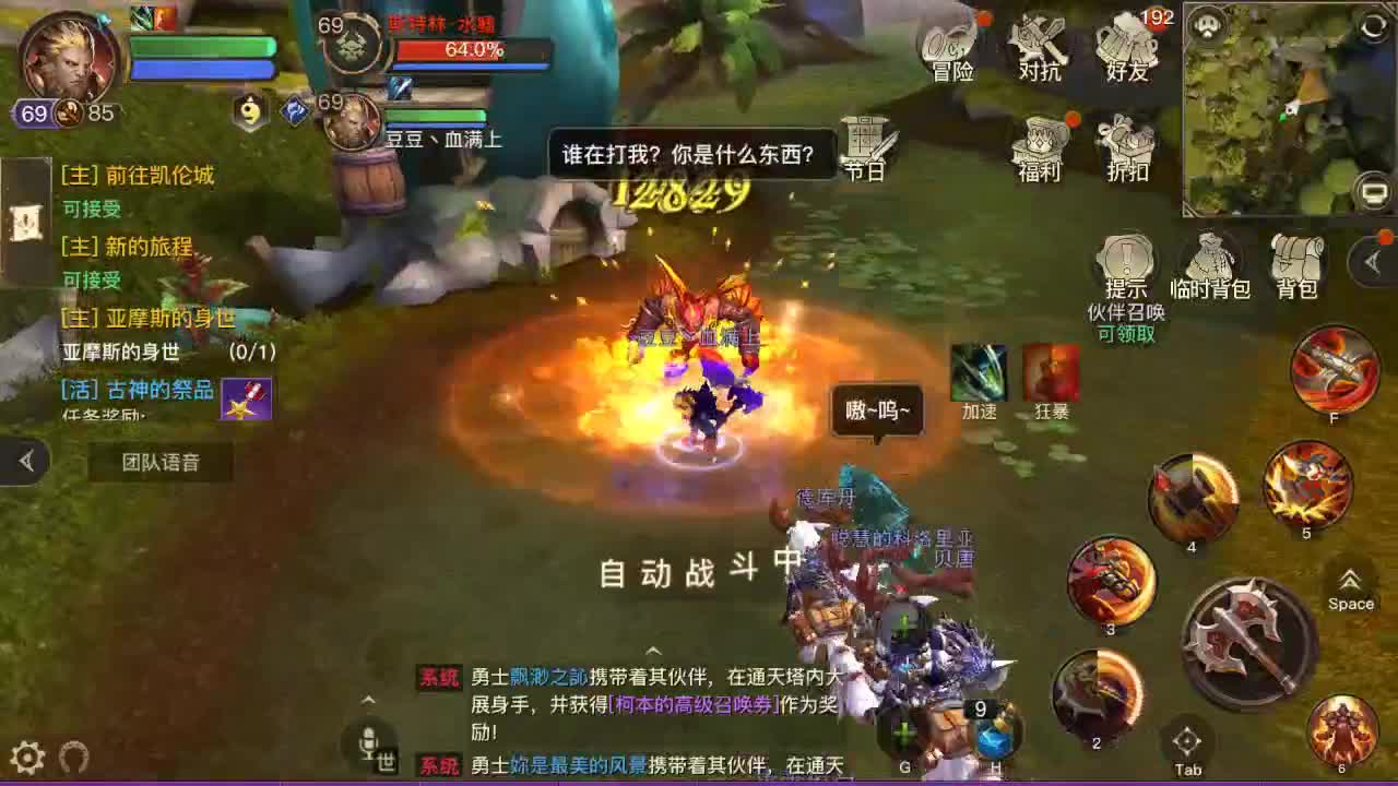 gogo
