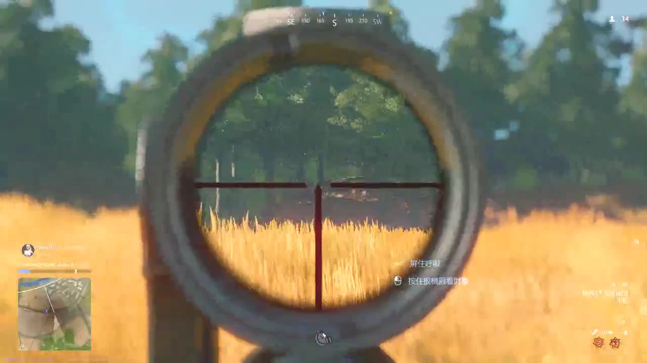 洋洋洋：厨房大逃杀