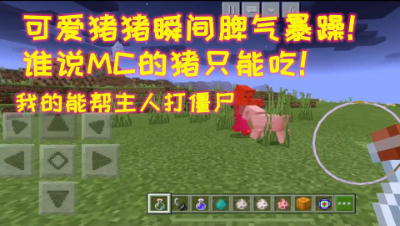 可爱猪猪瞬间脾气暴躁!谁说MC的猪只能吃!我的世界 静观思禅