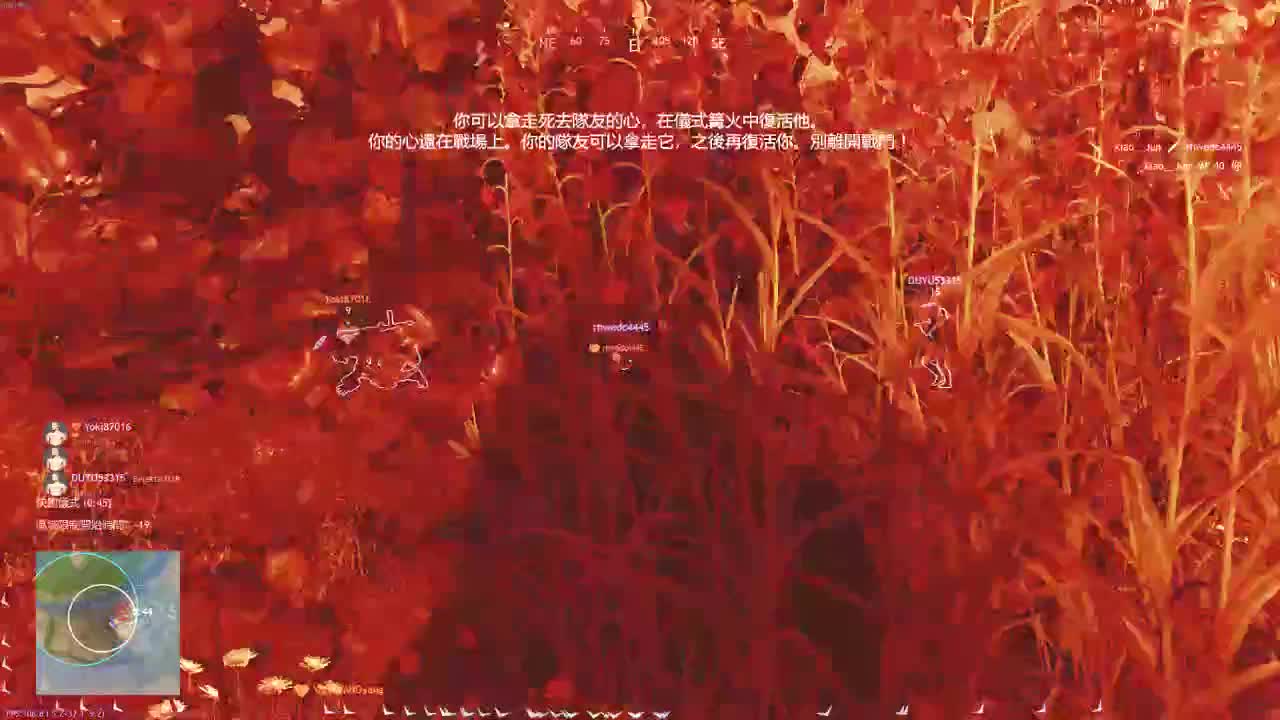 洋洋洋：不知道干啥的洋某洋