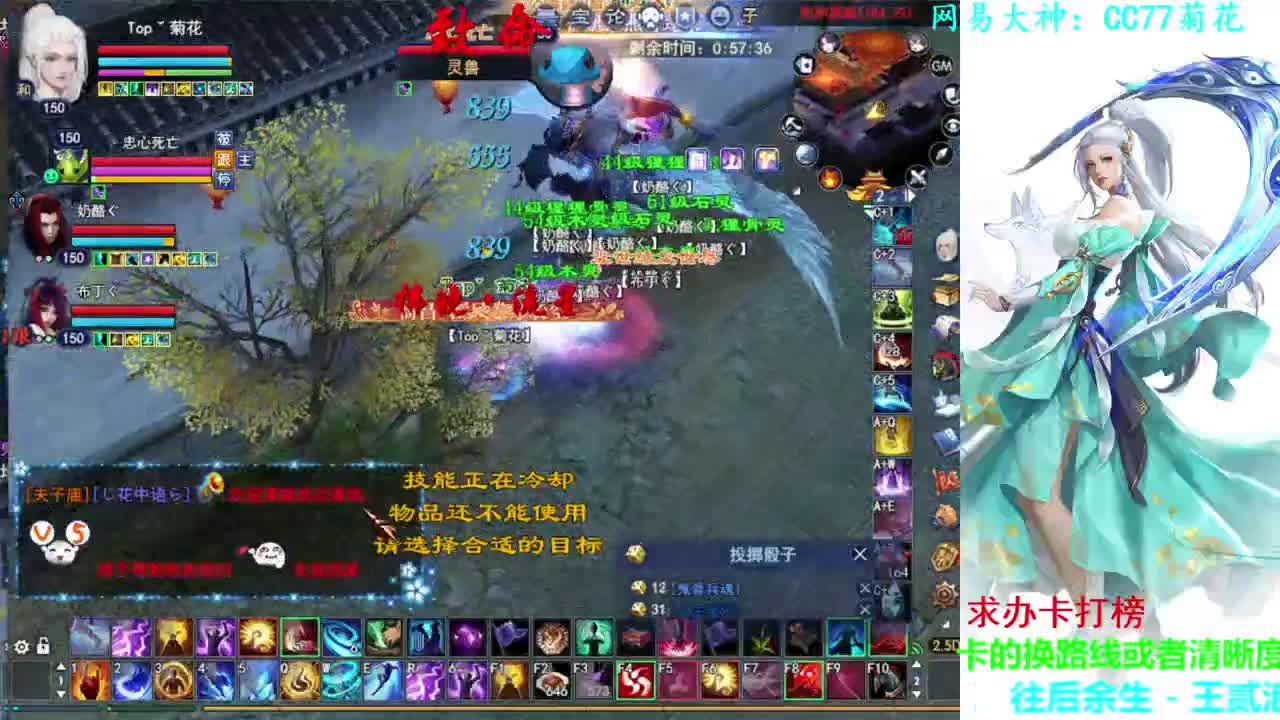 射手关宁 第2段