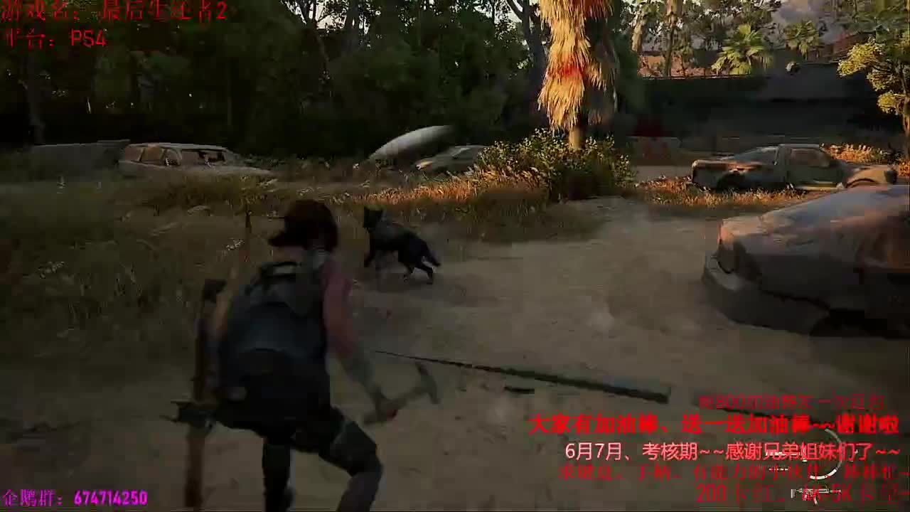 正式开始最后生还者2全部流程讲解、 第3段