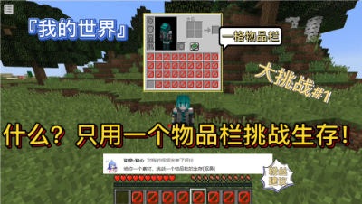 我的世界大挑战1：粉丝让我挑战一格物品栏生存！