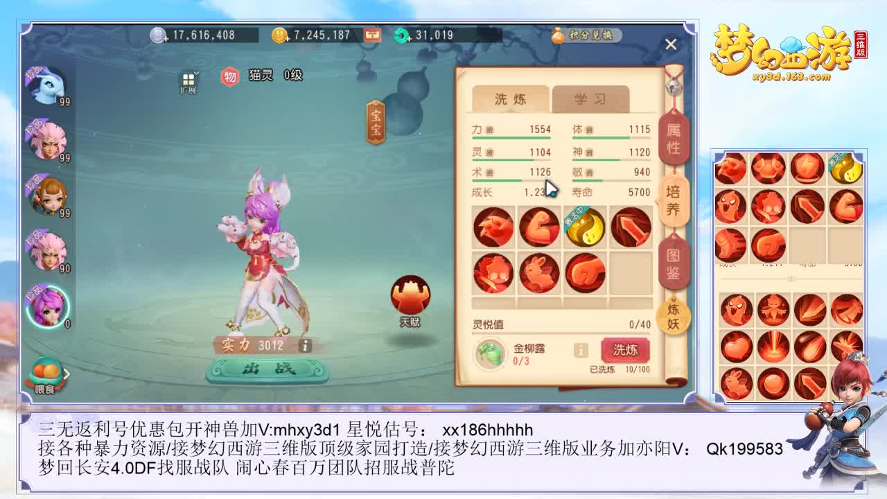 包宠物装备
