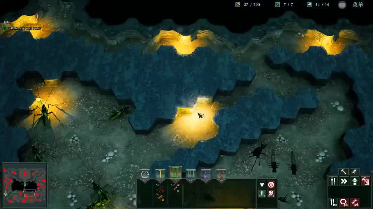 【肯尼】谁是蚁后？ 第1段