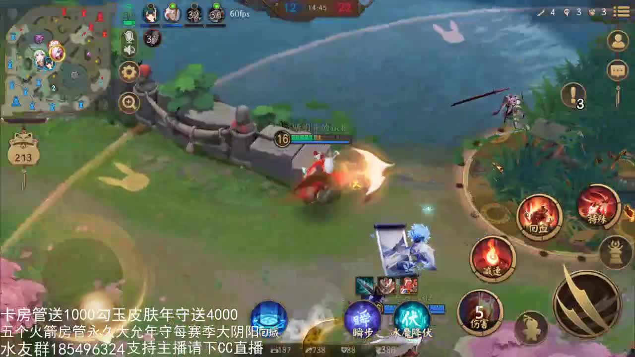 国服第一路人王