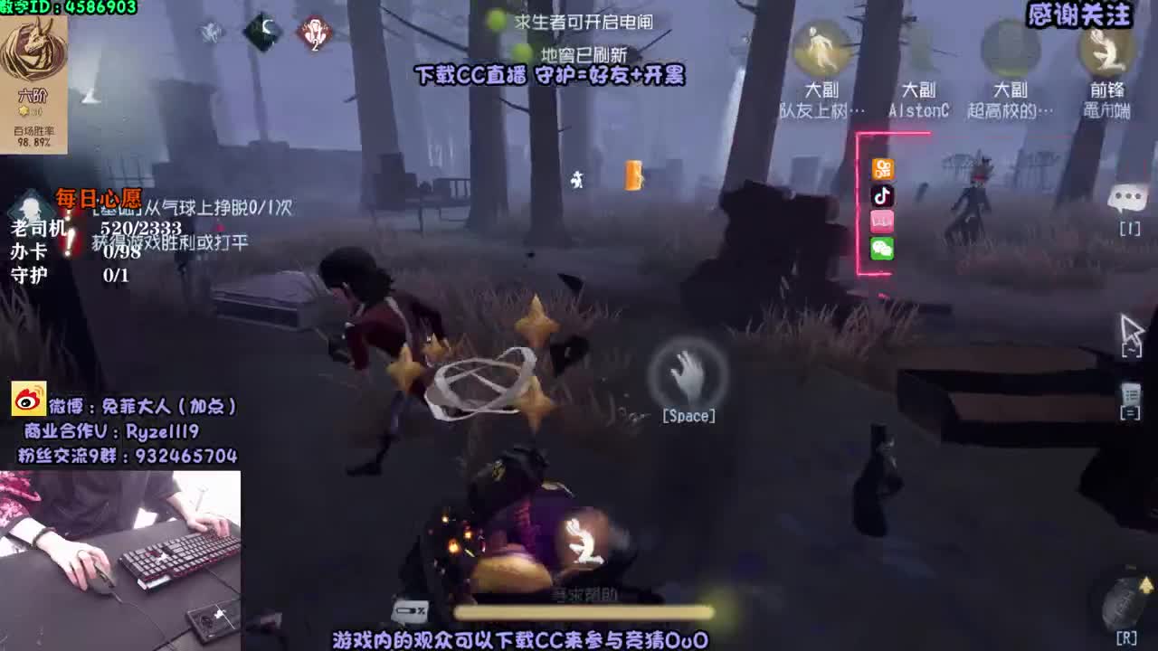 来啦来啦~
