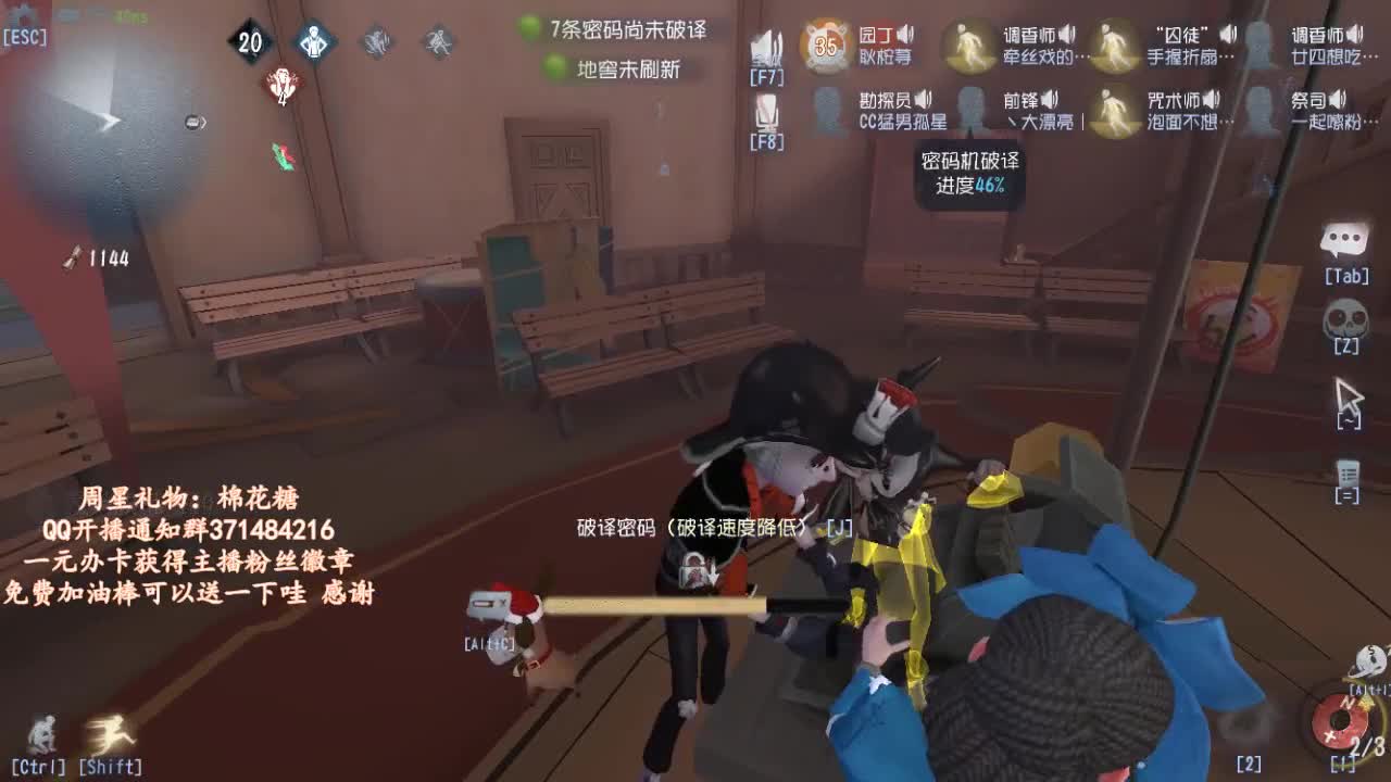 晚上好哇~