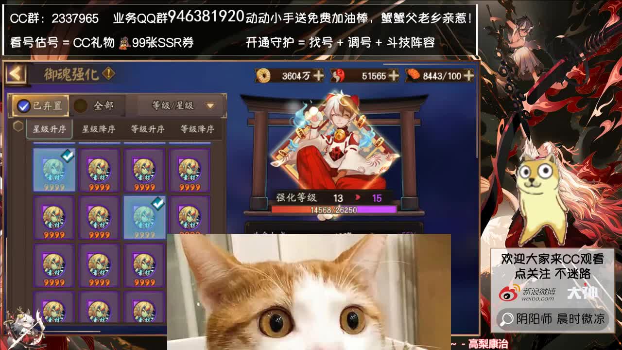 又要准备骗票的up了~ 第2段