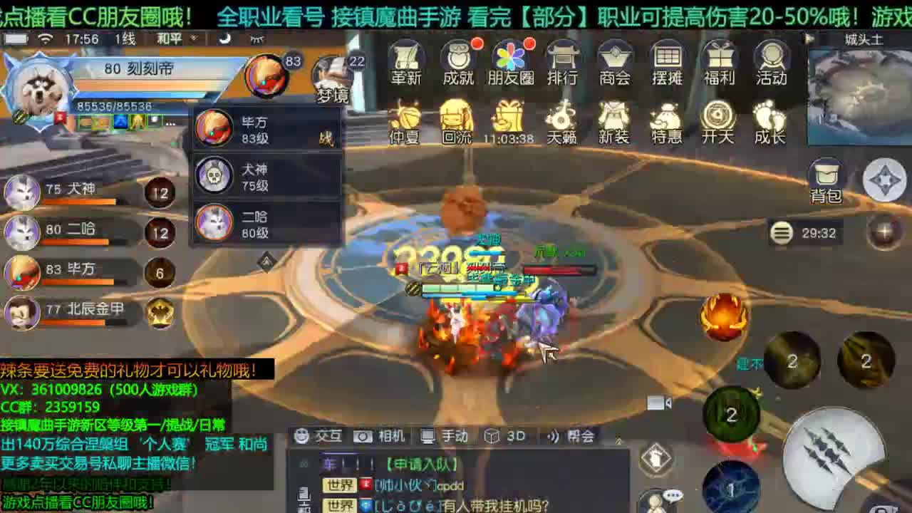 1包小辣条在线陪玩 解答全职业问题/ 接新区等级第一/首杀/托管/提战 第2段