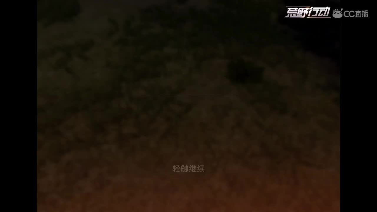 一看就会 一学就废 第1段