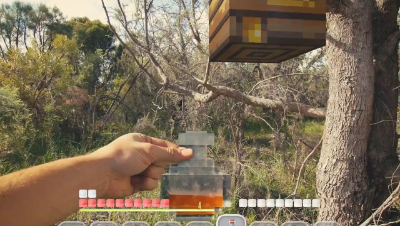 Minecraft Killer Bee Swarm In Real Life