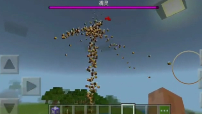 建议改成凋 零 蜂 暴