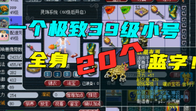 梦幻西游：看完这个39小号我自卑了，6件装备21蓝字，已经最极致！
