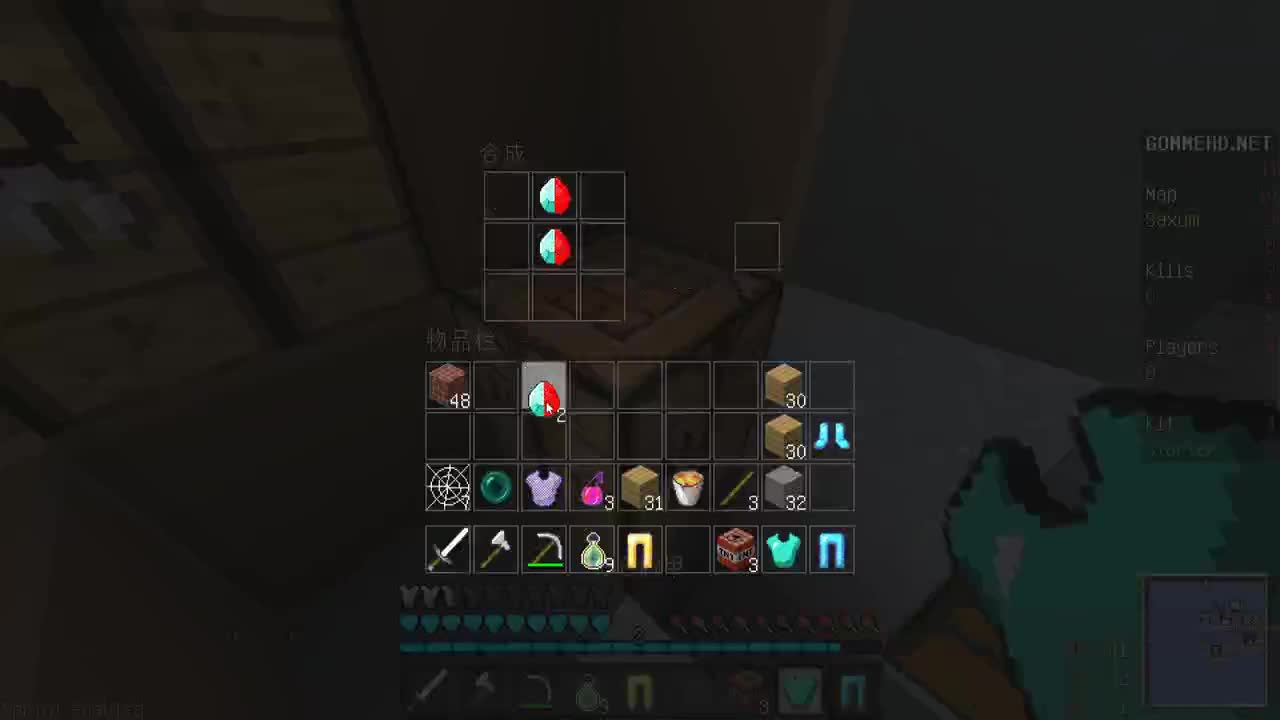 1.16生存+盗贼之海 第1段