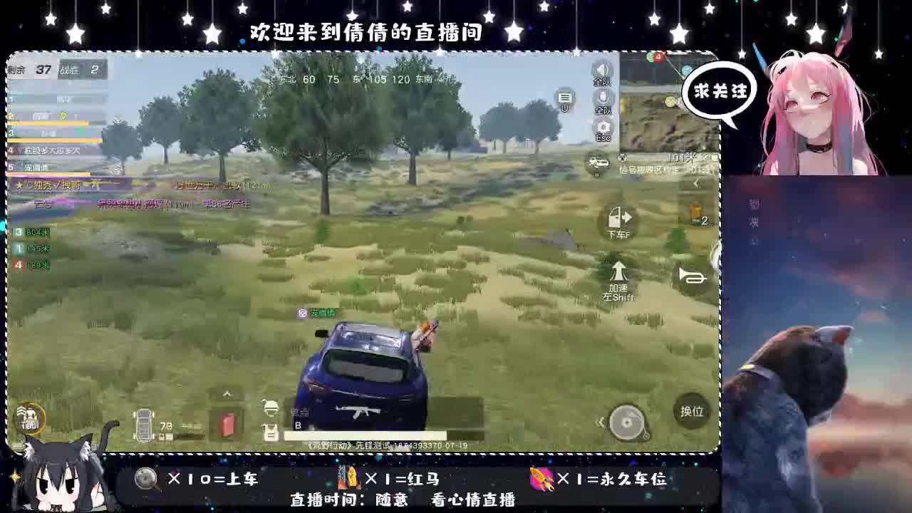 小可爱回归