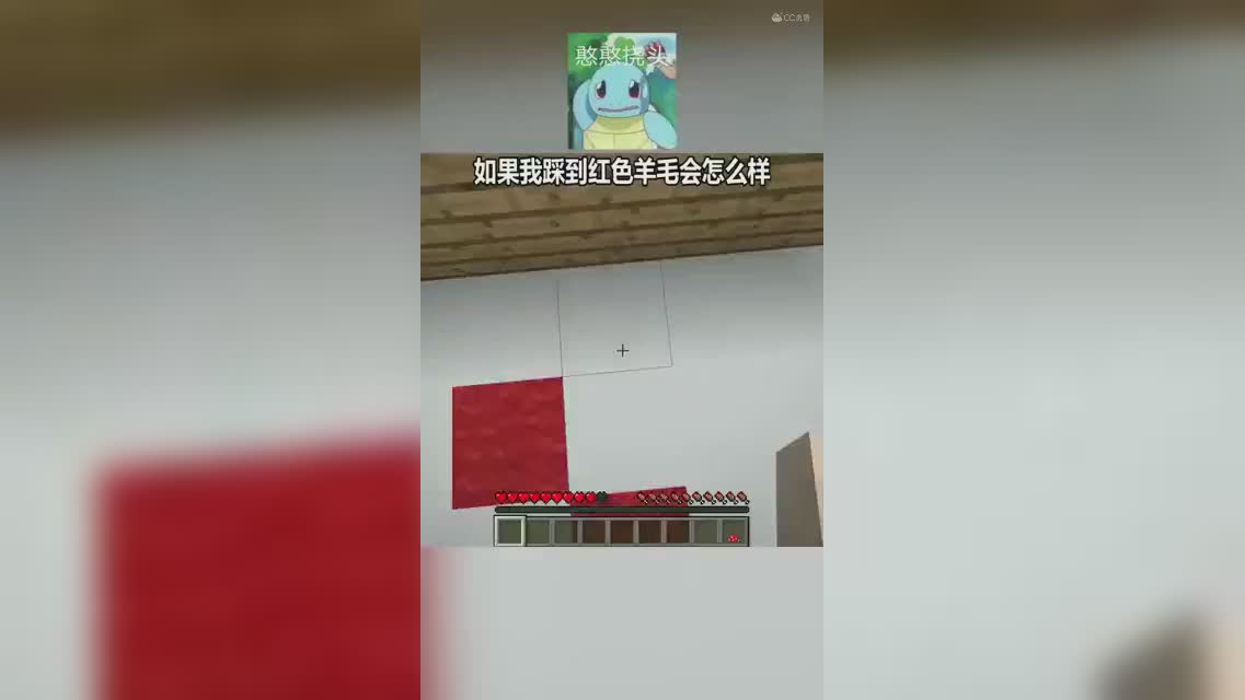 羊毛竟然会动？？！！！